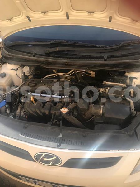 Big with watermark 51097626 10205053374130293 2236628885389180928 n