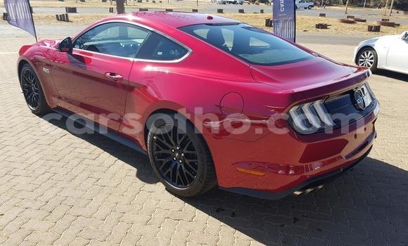 اشتري مستعمل Ford Mainline Red سيارة في Maseru في Maseru اشتري مستعمل Ford Mainline Red سيارة في Maseru في Maseru