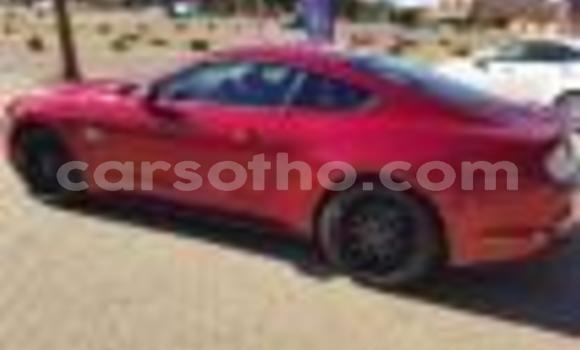 اشتري مستعمل Ford Mainline Red سيارة في Maseru في Maseru اشتري مستعمل Ford Mainline Red سيارة في Maseru في Maseru