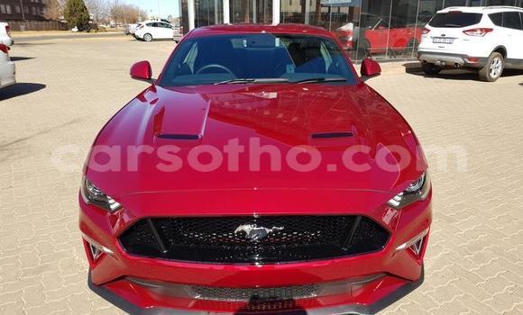 اشتري مستعمل Ford Mainline Red سيارة في Maseru في Maseru اشتري مستعمل Ford Mainline Red سيارة في Maseru في Maseru