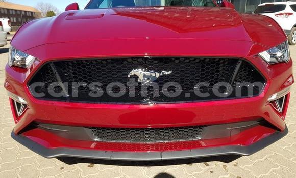 اشتري مستعمل Ford Mainline Red سيارة في Maseru في Maseru اشتري مستعمل Ford Mainline Red سيارة في Maseru في Maseru