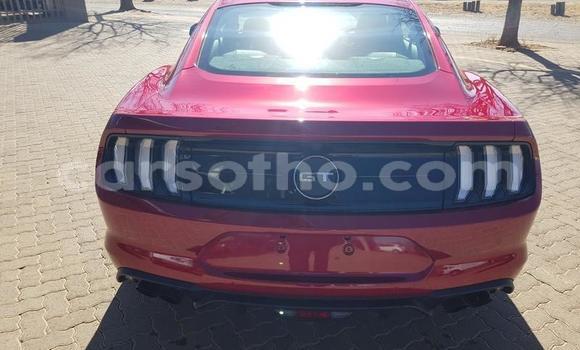 اشتري مستعمل Ford Mainline Red سيارة في Maseru في Maseru اشتري مستعمل Ford Mainline Red سيارة في Maseru في Maseru