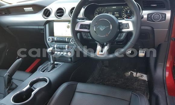 اشتري مستعمل Ford Mainline Red سيارة في Maseru في Maseru اشتري مستعمل Ford Mainline Red سيارة في Maseru في Maseru