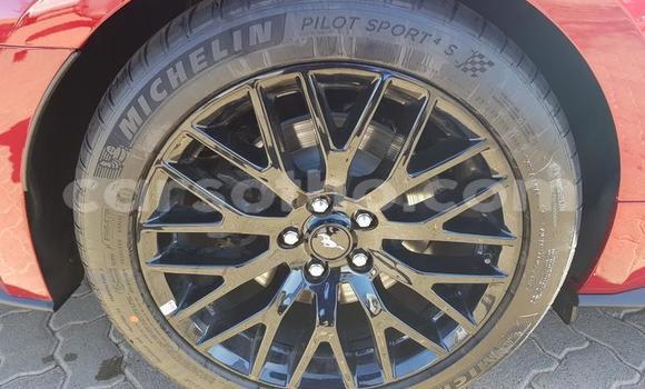 اشتري مستعمل Ford Mainline Red سيارة في Maseru في Maseru اشتري مستعمل Ford Mainline Red سيارة في Maseru في Maseru