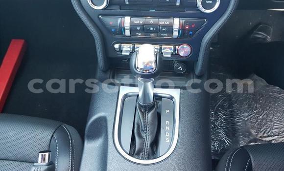 اشتري مستعمل Ford Mainline Red سيارة في Maseru في Maseru اشتري مستعمل Ford Mainline Red سيارة في Maseru في Maseru