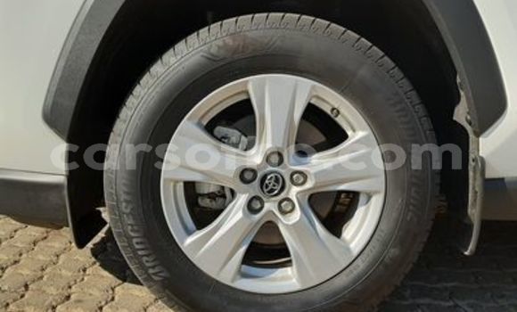 اشتري مستعمل Toyota RAV4 White سيارة في Maseru في Maseru اشتري مستعمل Toyota RAV4 White سيارة في Maseru في Maseru