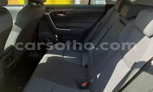 اشتري مستعمل Toyota RAV4 White سيارة في Maseru في Maseru اشتري مستعمل Toyota RAV4 White سيارة في Maseru في Maseru