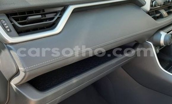 اشتري مستعمل Toyota RAV4 White سيارة في Maseru في Maseru اشتري مستعمل Toyota RAV4 White سيارة في Maseru في Maseru