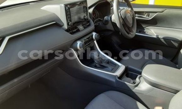 اشتري مستعمل Toyota RAV4 White سيارة في Maseru في Maseru اشتري مستعمل Toyota RAV4 White سيارة في Maseru في Maseru