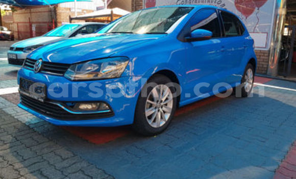 Buy Used Volkswagen Polo Blue Car in Maseru in Maseru Buy Used Volkswagen Polo Blue Car in Maseru in Maseru