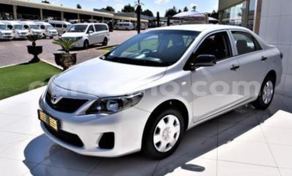 اشتري مستعمل Toyota Corolla Silver سيارة في Maseru في Maseru اشتري مستعمل Toyota Corolla Silver سيارة في Maseru في Maseru
