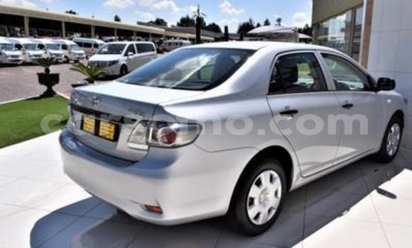 اشتري مستعمل Toyota Corolla Silver سيارة في Maseru في Maseru اشتري مستعمل Toyota Corolla Silver سيارة في Maseru في Maseru