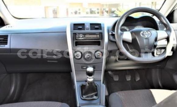 اشتري مستعمل Toyota Corolla Silver سيارة في Maseru في Maseru اشتري مستعمل Toyota Corolla Silver سيارة في Maseru في Maseru