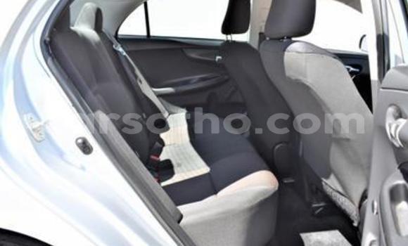 اشتري مستعمل Toyota Corolla Silver سيارة في Maseru في Maseru اشتري مستعمل Toyota Corolla Silver سيارة في Maseru في Maseru