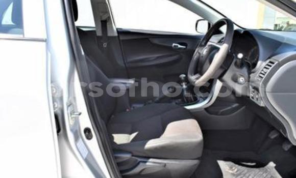 اشتري مستعمل Toyota Corolla Silver سيارة في Maseru في Maseru اشتري مستعمل Toyota Corolla Silver سيارة في Maseru في Maseru