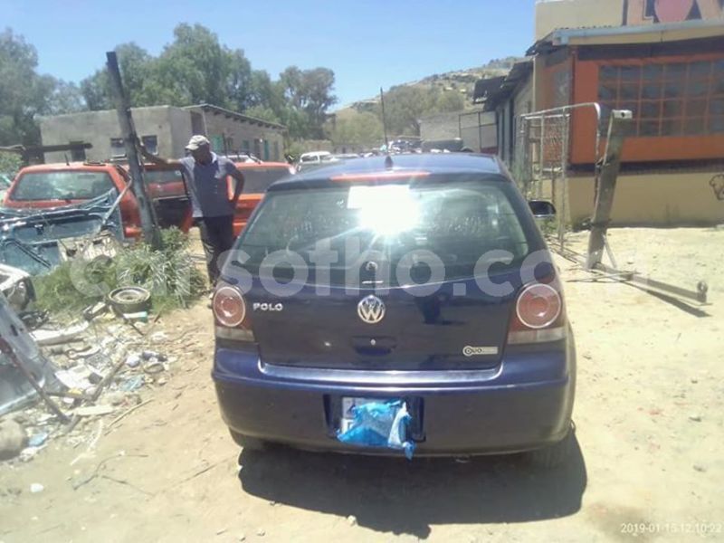 Big with watermark 50288856 10205016243122041 5807260357919506432 n