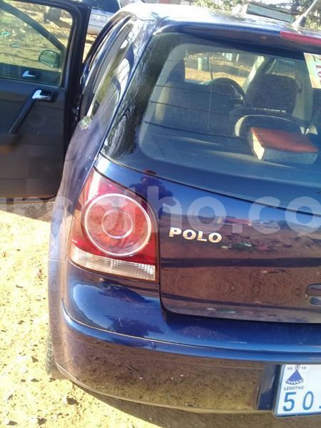 Big with watermark 50581445 10205016242002013 7274453445732466688 n