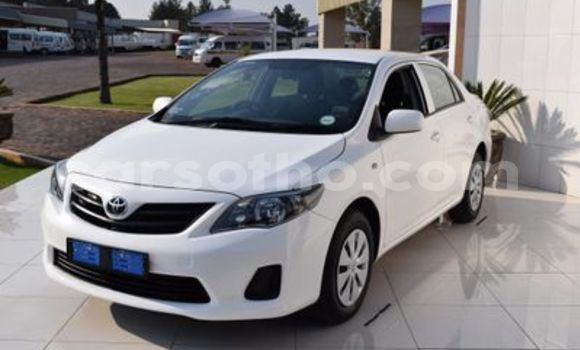 اشتري مستعمل Toyota Corolla White سيارة في Maseru في Maseru اشتري مستعمل Toyota Corolla White سيارة في Maseru في Maseru