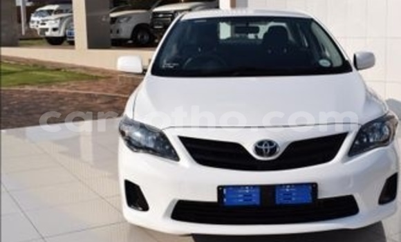 اشتري مستعمل Toyota Corolla White سيارة في Maseru في Maseru اشتري مستعمل Toyota Corolla White سيارة في Maseru في Maseru