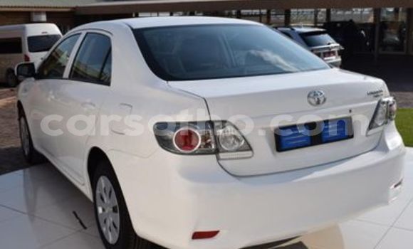 اشتري مستعمل Toyota Corolla White سيارة في Maseru في Maseru اشتري مستعمل Toyota Corolla White سيارة في Maseru في Maseru