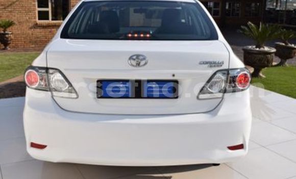 اشتري مستعمل Toyota Corolla White سيارة في Maseru في Maseru اشتري مستعمل Toyota Corolla White سيارة في Maseru في Maseru