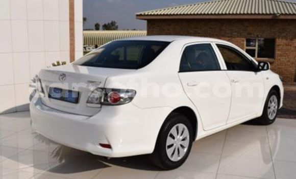 اشتري مستعمل Toyota Corolla White سيارة في Maseru في Maseru اشتري مستعمل Toyota Corolla White سيارة في Maseru في Maseru