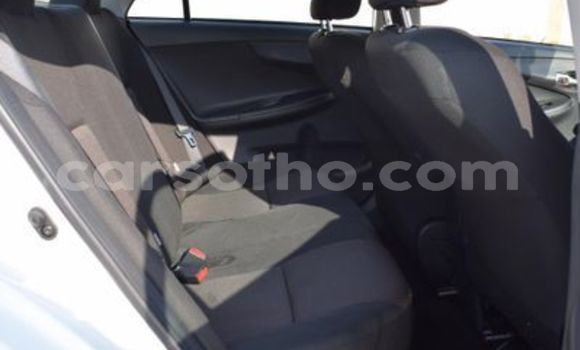 اشتري مستعمل Toyota Corolla White سيارة في Maseru في Maseru اشتري مستعمل Toyota Corolla White سيارة في Maseru في Maseru