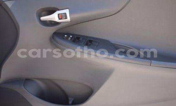 اشتري مستعمل Toyota Corolla White سيارة في Maseru في Maseru اشتري مستعمل Toyota Corolla White سيارة في Maseru في Maseru