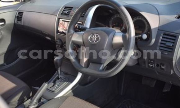 اشتري مستعمل Toyota Corolla White سيارة في Maseru في Maseru اشتري مستعمل Toyota Corolla White سيارة في Maseru في Maseru