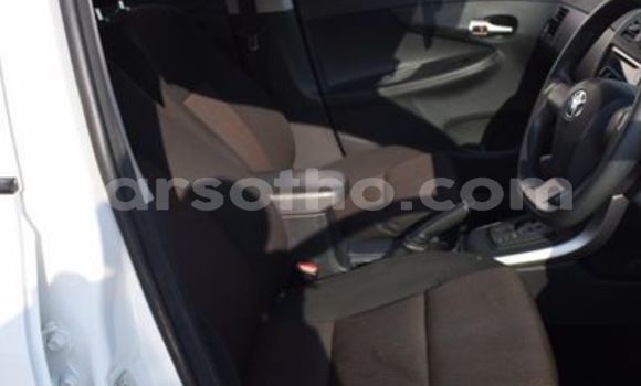 اشتري مستعمل Toyota Corolla White سيارة في Maseru في Maseru اشتري مستعمل Toyota Corolla White سيارة في Maseru في Maseru