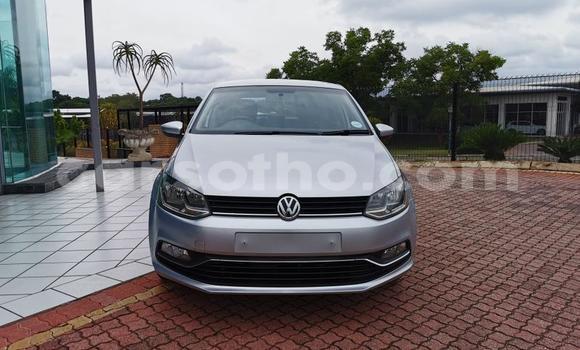 اشتري مستعمل Volkswagen Polo Silver سيارة في Maseru في Maseru اشتري مستعمل Volkswagen Polo Silver سيارة في Maseru في Maseru
