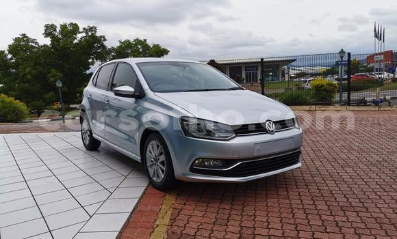 اشتري مستعمل Volkswagen Polo Silver سيارة في Maseru في Maseru اشتري مستعمل Volkswagen Polo Silver سيارة في Maseru في Maseru
