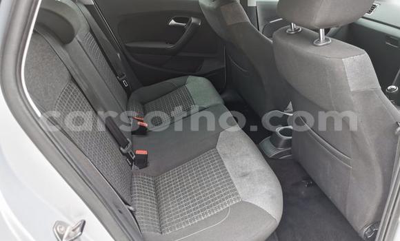 اشتري مستعمل Volkswagen Polo Silver سيارة في Maseru في Maseru اشتري مستعمل Volkswagen Polo Silver سيارة في Maseru في Maseru