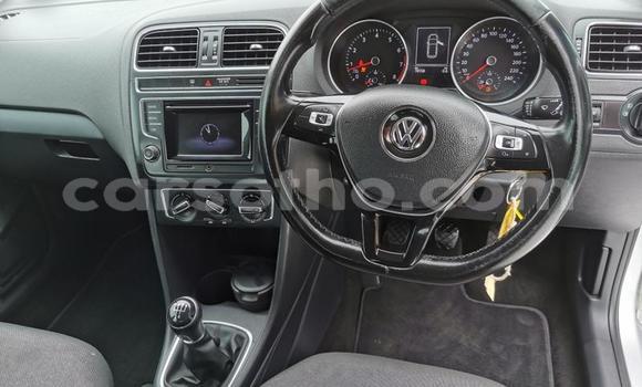 اشتري مستعمل Volkswagen Polo Silver سيارة في Maseru في Maseru اشتري مستعمل Volkswagen Polo Silver سيارة في Maseru في Maseru