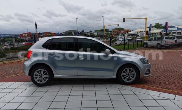 اشتري مستعمل Volkswagen Polo Silver سيارة في Maseru في Maseru اشتري مستعمل Volkswagen Polo Silver سيارة في Maseru في Maseru