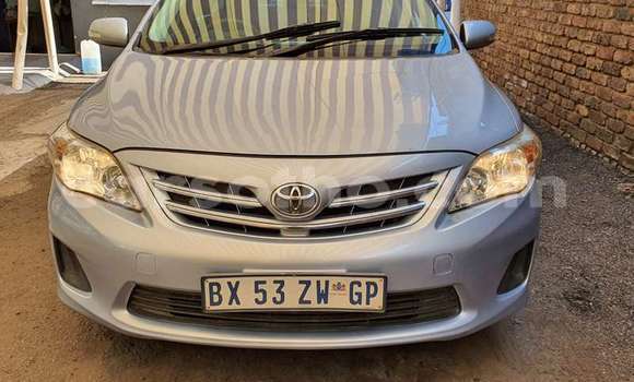 Acheter Occasion Voiture Toyota Corolla Gris à Maseru, Maseru Acheter Occasion Voiture Toyota Corolla Gris à Maseru, Maseru