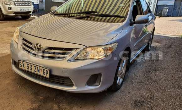 Acheter Occasion Voiture Toyota Corolla Gris à Maseru, Maseru Acheter Occasion Voiture Toyota Corolla Gris à Maseru, Maseru