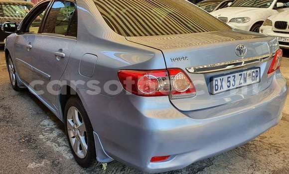 Acheter Occasion Voiture Toyota Corolla Gris à Maseru, Maseru Acheter Occasion Voiture Toyota Corolla Gris à Maseru, Maseru