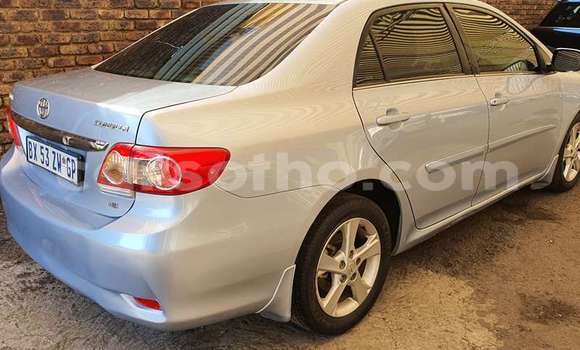 Acheter Occasion Voiture Toyota Corolla Gris à Maseru, Maseru Acheter Occasion Voiture Toyota Corolla Gris à Maseru, Maseru