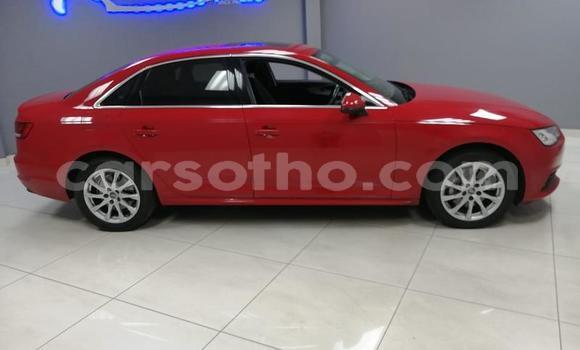 Acheter Occasion Voiture Audi A4 Rouge à Maseru, Maseru Acheter Occasion Voiture Audi A4 Rouge à Maseru, Maseru