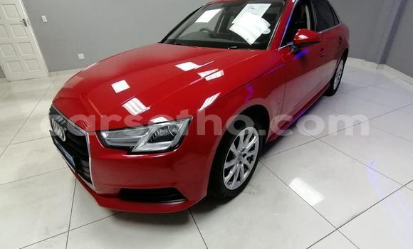 Acheter Occasion Voiture Audi A4 Rouge à Maseru, Maseru Acheter Occasion Voiture Audi A4 Rouge à Maseru, Maseru