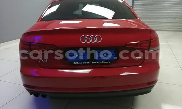 Acheter Occasion Voiture Audi A4 Rouge à Maseru, Maseru Acheter Occasion Voiture Audi A4 Rouge à Maseru, Maseru