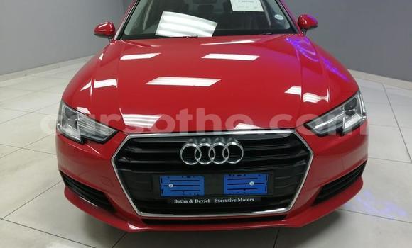 Acheter Occasion Voiture Audi A4 Rouge à Maseru, Maseru Acheter Occasion Voiture Audi A4 Rouge à Maseru, Maseru