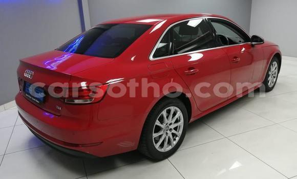Acheter Occasion Voiture Audi A4 Rouge à Maseru, Maseru Acheter Occasion Voiture Audi A4 Rouge à Maseru, Maseru