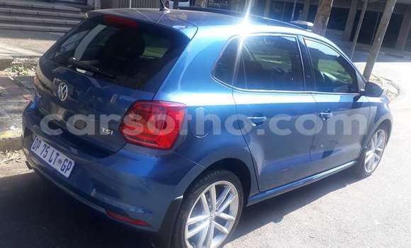 Buy Used Volkswagen Polo Blue Car in Maseru in Maseru Buy Used Volkswagen Polo Blue Car in Maseru in Maseru