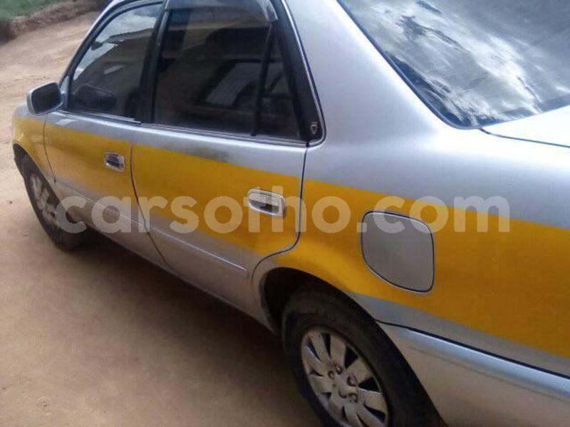 Big with watermark 52778905 147251236300167 125877661720379392 n