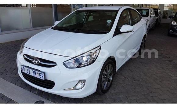 Buy Used Hyundai Accent White Car in Maseru in Maseru Buy Used Hyundai Accent White Car in Maseru in Maseru