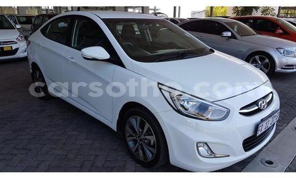 Buy Used Hyundai Accent White Car in Maseru in Maseru Buy Used Hyundai Accent White Car in Maseru in Maseru