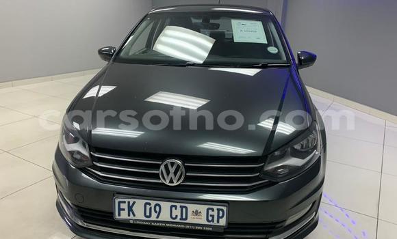 اشتري مستعمل Volkswagen Polo Other سيارة في Maseru في Maseru اشتري مستعمل Volkswagen Polo Other سيارة في Maseru في Maseru