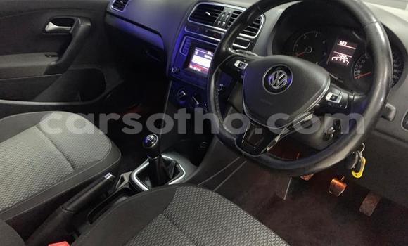 اشتري مستعمل Volkswagen Polo Other سيارة في Maseru في Maseru اشتري مستعمل Volkswagen Polo Other سيارة في Maseru في Maseru